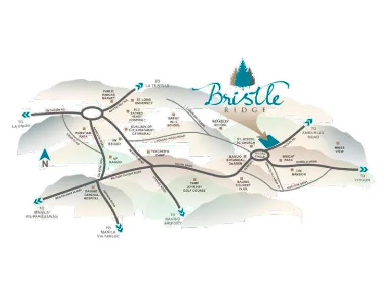 bristle ridge